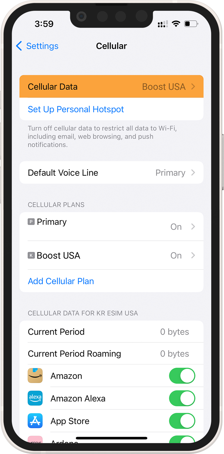 boost data roaming